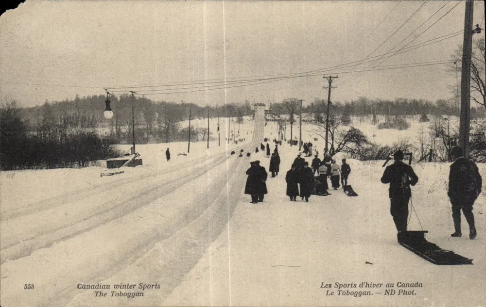 Winter-Sport in Kanada — Der Schlittenlauf — ND Phot. — n° 558 - Vorderseite