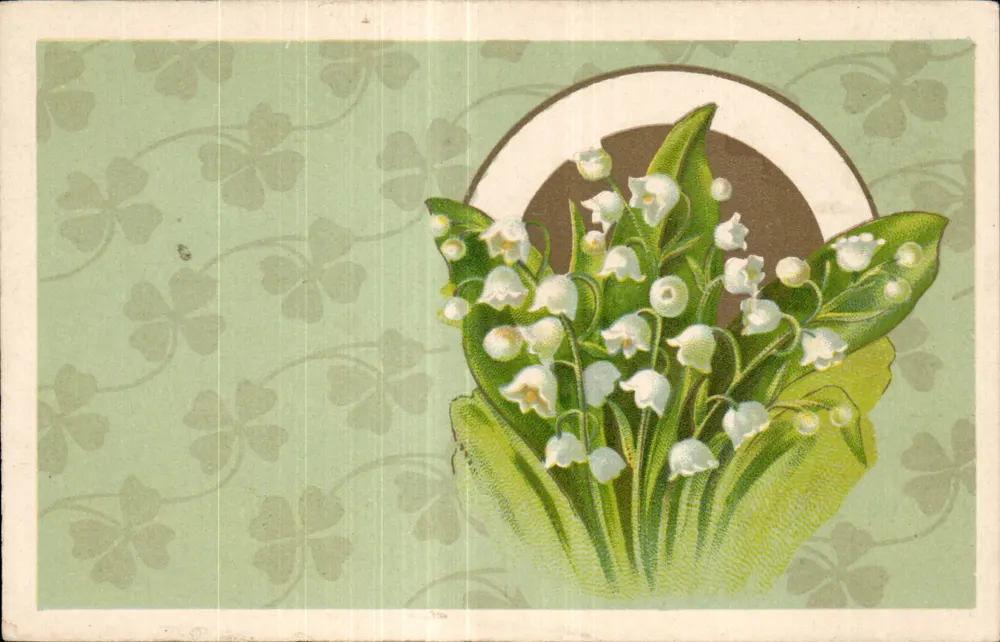 Lilie der Wiese — weiße Blüten in einem kreisförmigen Rahmen — Verlag Trade Mark, Nr. 524 - Vorderseite