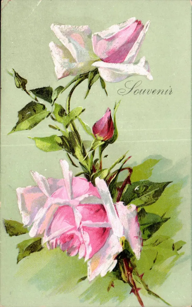 Rosas — Lembrança — sem editor e número de série visíveis - Frente