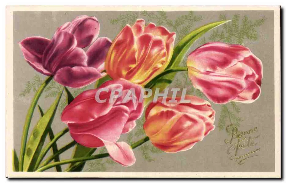 Tulipas coloridas — edição Bilhete postal moderno Paris - Frente