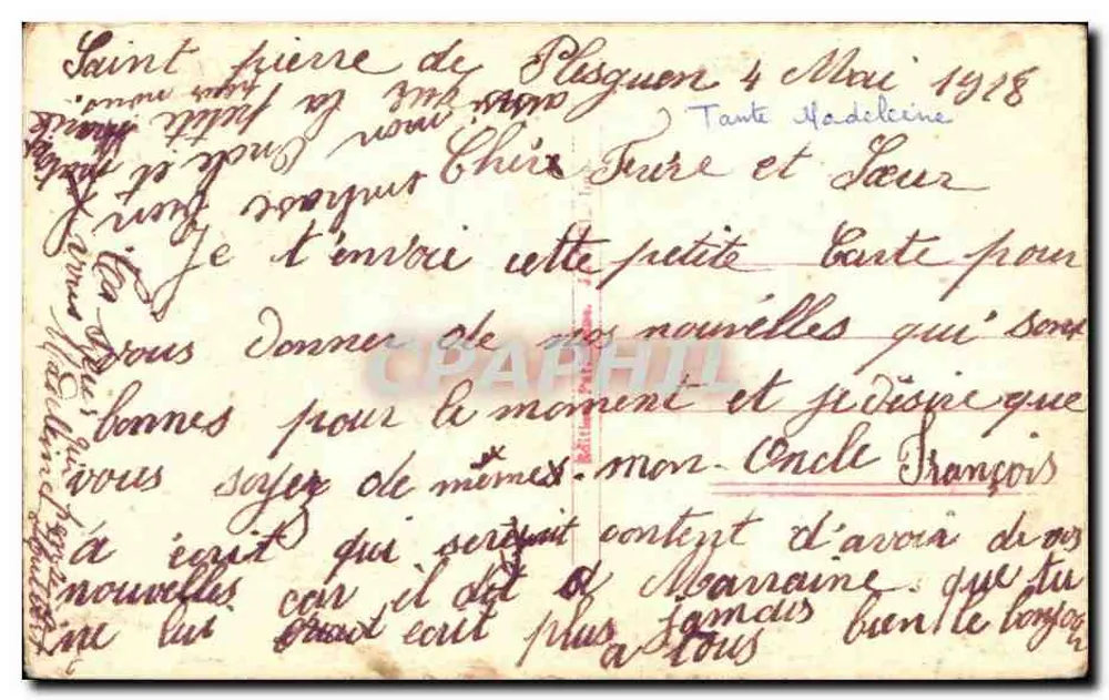गुलाबी कॉकलेट फूल — एक्रिलिक ड्राइंग — P. टूल कोर संख्या 7 - पीछे
