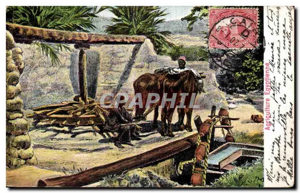 Agricultura Egípcia — Cena de trabalho com bois e ferramentas — Editor: Imprensa da União Postal Universal, Egito - Frente