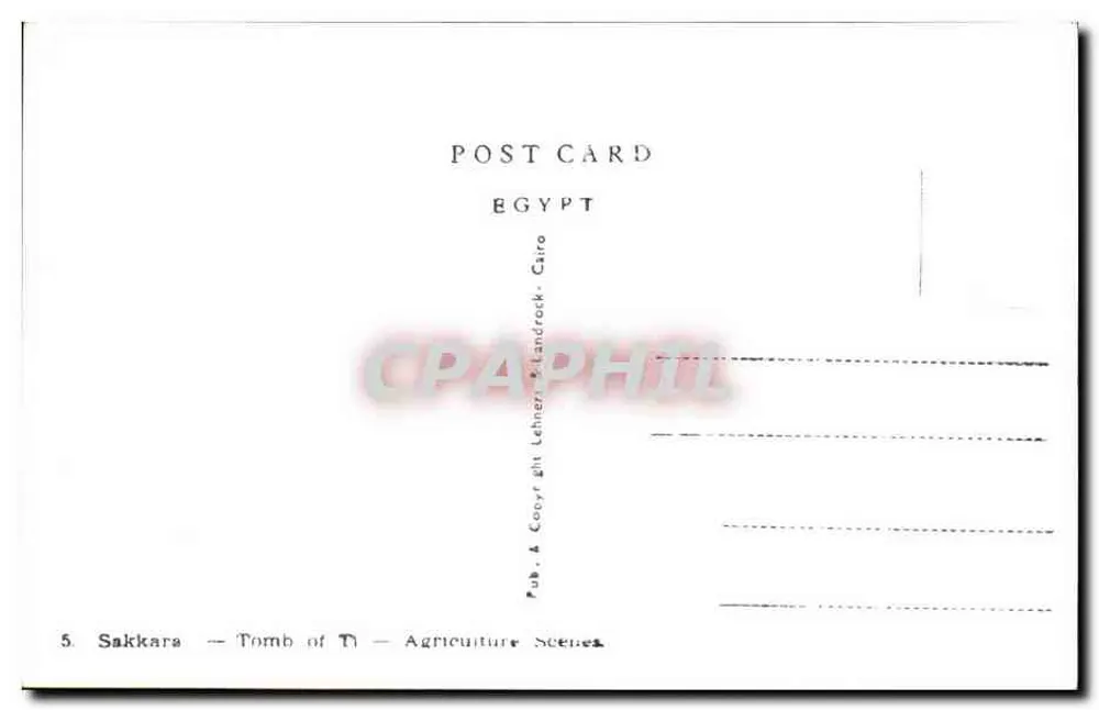 Sakkara — Grab T1 — Agrarische Szenen — Verlag & Copyright Lehner & Landrock, Kairo - Rückseite