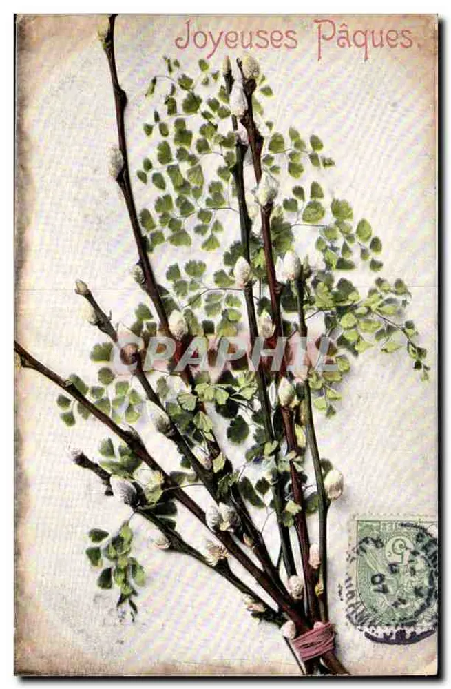 Bouquet de saules — Feliz Páscoa — editor Raphael Tuck & Fils Ltd. n°655 - Frente