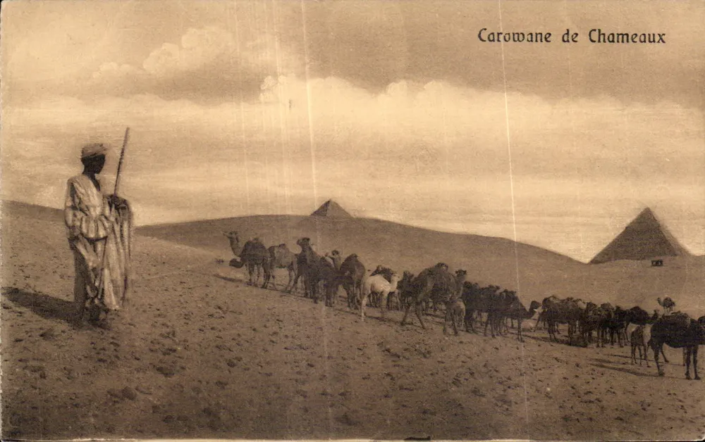 Kamelkarawanen — Pyramiden Ägyptens — The Cairo Postcard Trust, Serie 209 - Vorderseite
