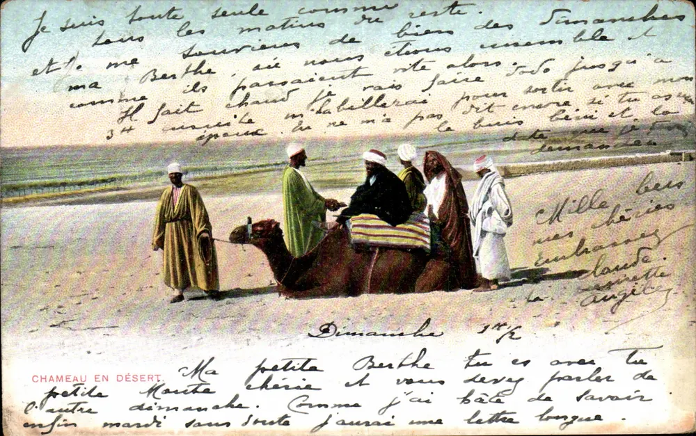 Kamel im Wüsten — Reise-Szene — Verlag Lichtenstern & Haraphil, Nr. 47 - Vorderseite