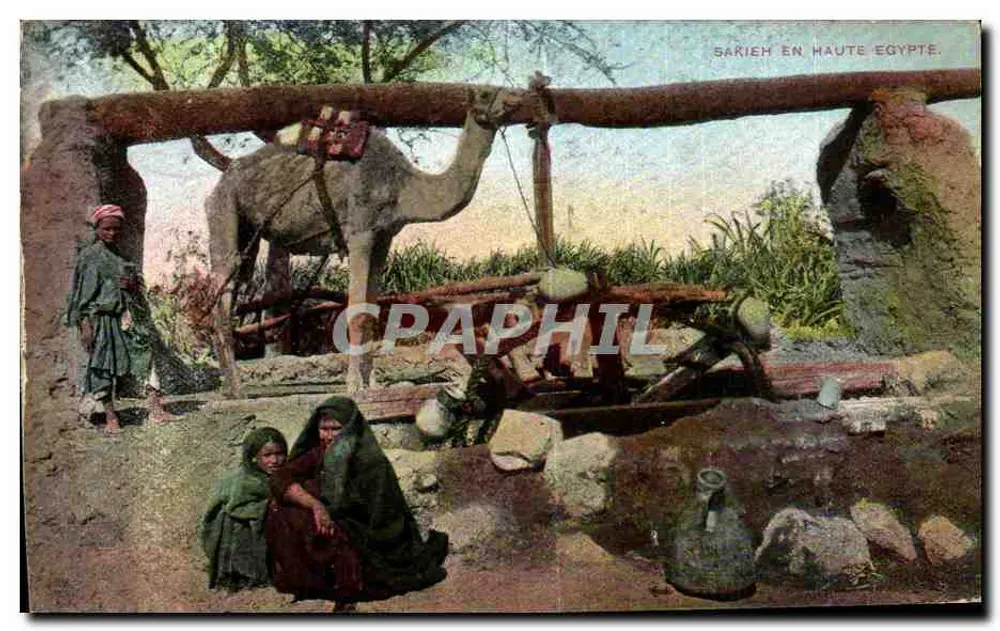 Sarieh in Oberägypten — Szenen aus dem Alltag mit Kamel und Menschen — Verlag Lichtenstern & Harari, n°203 - Vorderseite