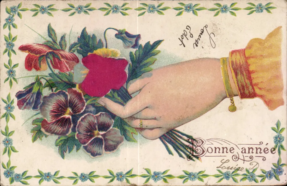 Mão oferecendo um buquê de flores — Boa Ano Louise — editor não visível - Frente
