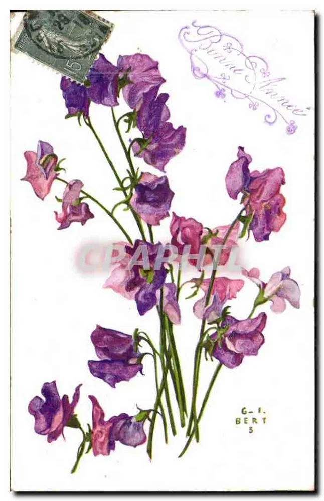 Violetter Blumenstrauß — Frohe Neujahr — G.-I. BERT 3 - Vorderseite