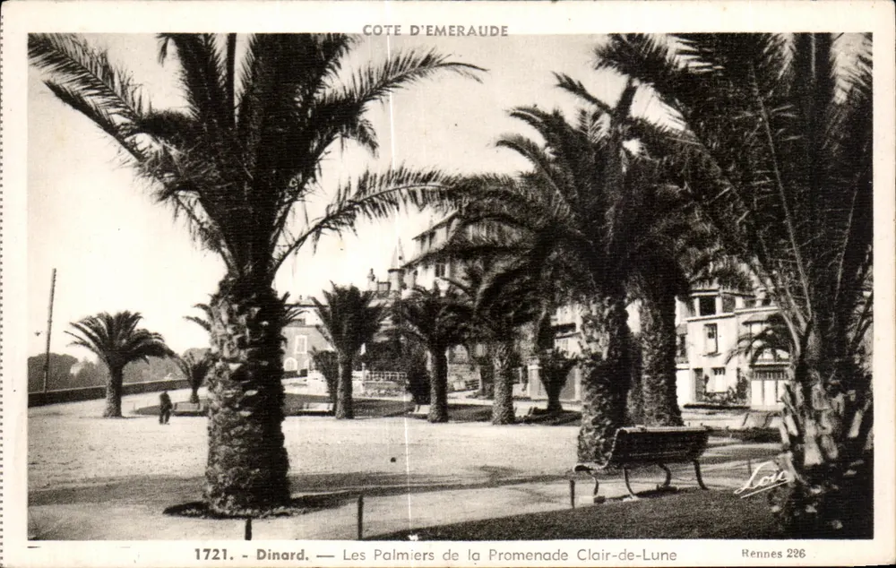 Dinard — Die Palmen der Clair-de-Lune Promenade — Rennes 226 - Vorderseite