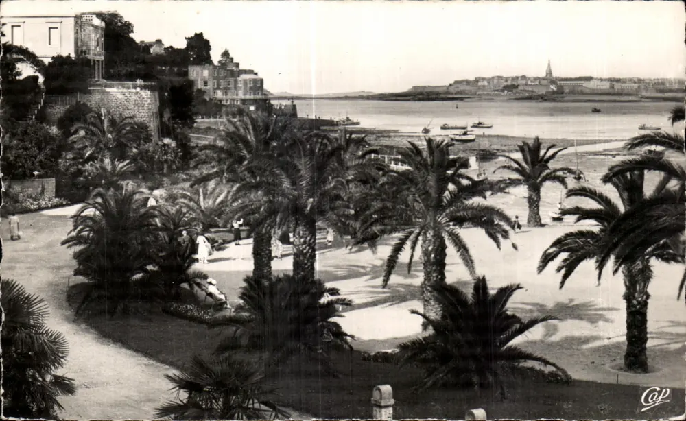 Dinard — La Palmeraie — Im Hintergrund, Saint-Malo — Réal-Photo, Nr. 146 - Vorderseite