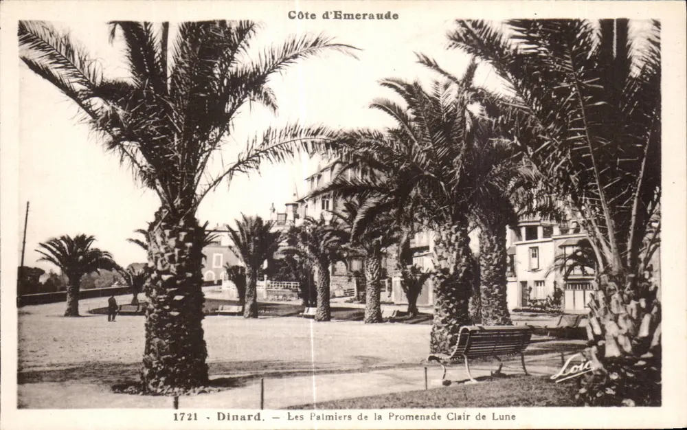 Dinard — Côte d'Émeraude — Die Palmen der Promenade Clair de Lune — Verleger Lorc - Vorderseite