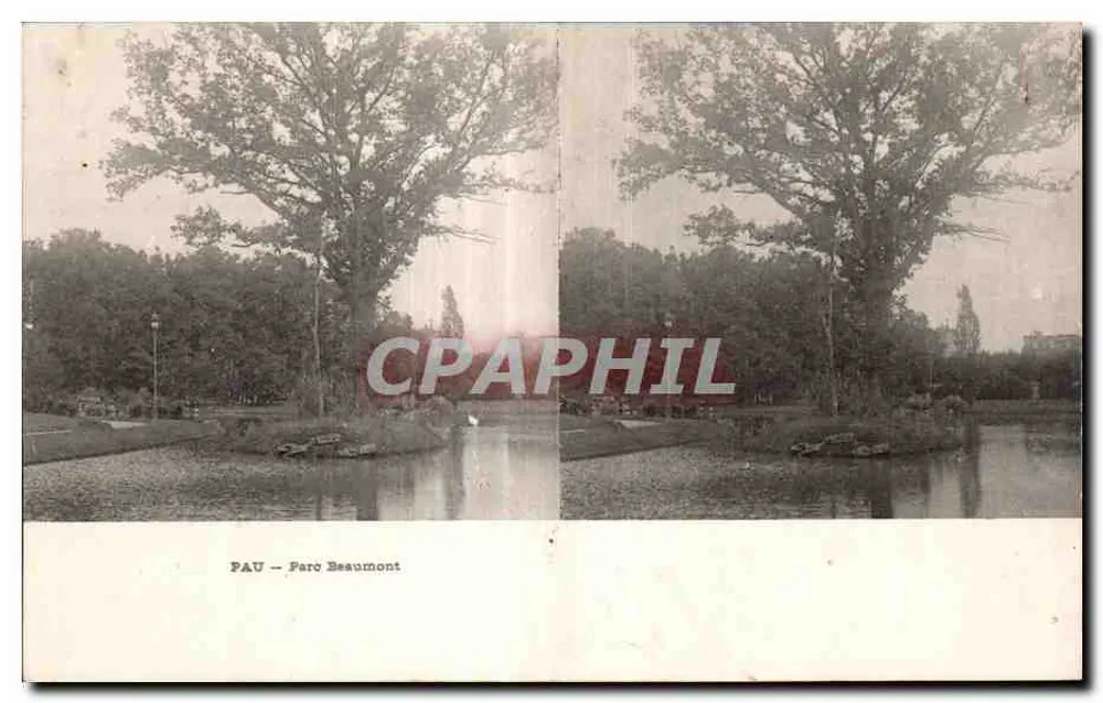 Pau — Park Beaumont — monumentales Baum am See - Vorderseite