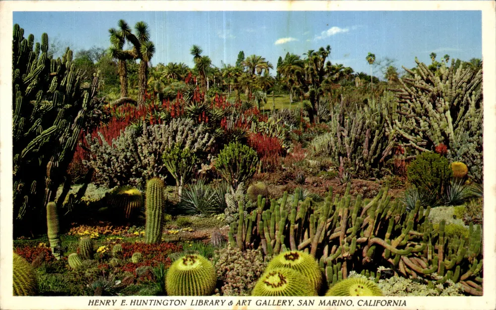 Cactusgarten — Henry E. Huntington Library & Art Gallery, San Marino, Kalifornien - Vorderseite