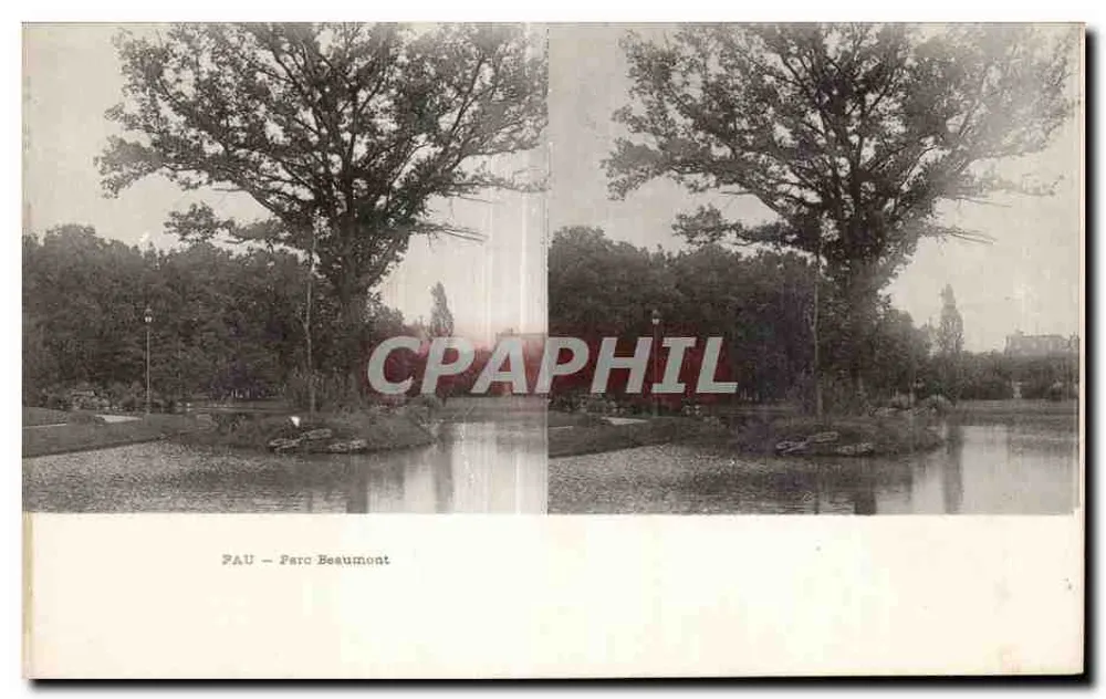 Pau — Park Beaumont — Blick auf den großen Baum am See - Vorderseite