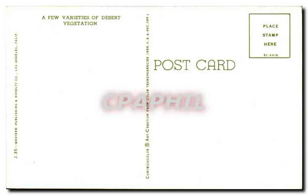 Vielfalt der Wüstenvegetation — Western Publishing & Novelty Co. — J.35 - Rückseite