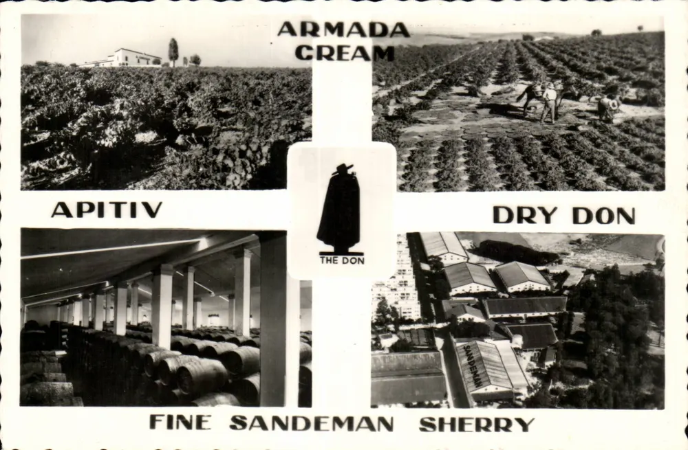 Weingüter und Keller von Sandeman — Jerez de la Frontera — Verlag Sandeman Vineyards & Bodegas - Vorderseite