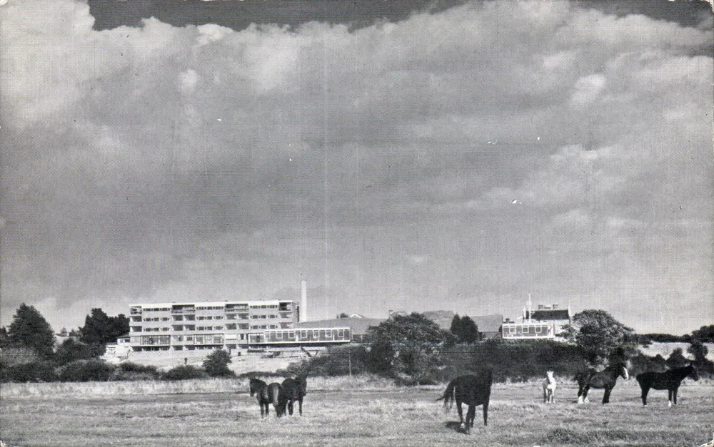 नैम्पलान स्कूल — वैरिक — छापक अदृश्य - आगे