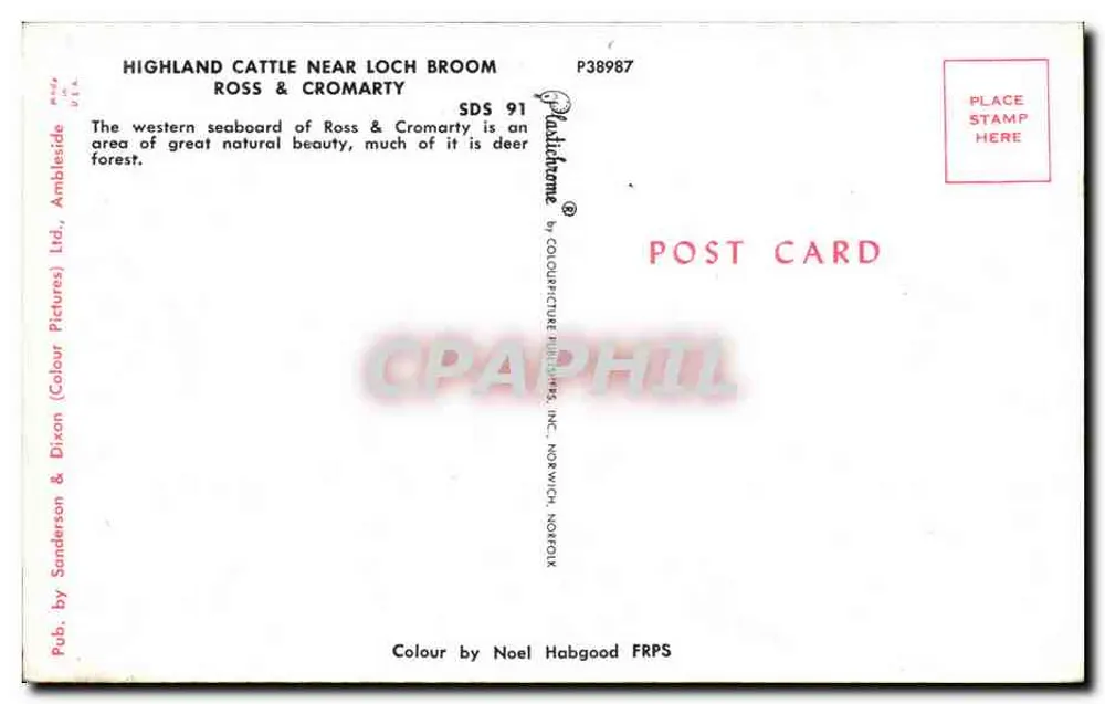 Highland-Rinder nahe Loch Broom — Ross & Cromarty — Verlag: Sanderson & Dixon (Colour Pictures) Ltd. - Rückseite