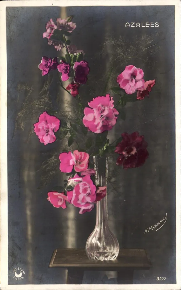 Azalee — gekleurde foto — H. Mounet, n° 3227 - Voorkant
