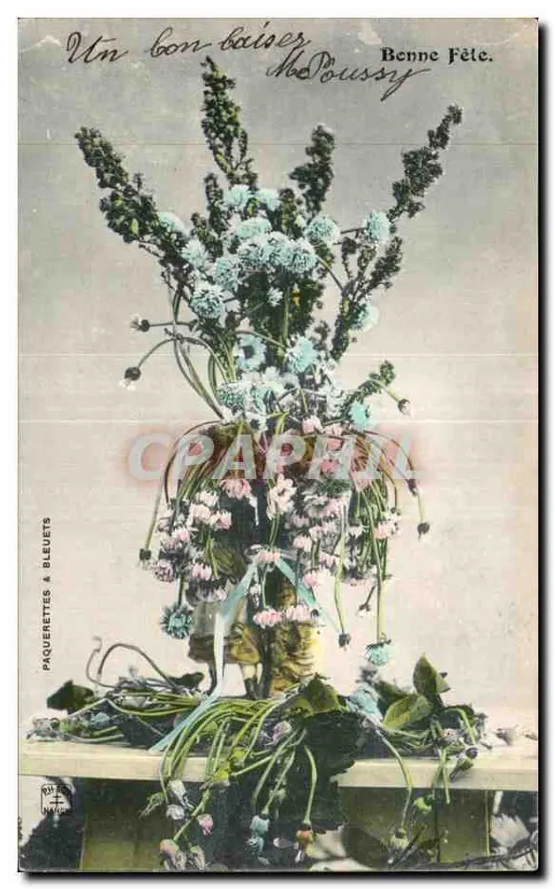 Arranjo de flores — Margaridas e buganvílias — editor Paquerettes & Bleuets - Frente