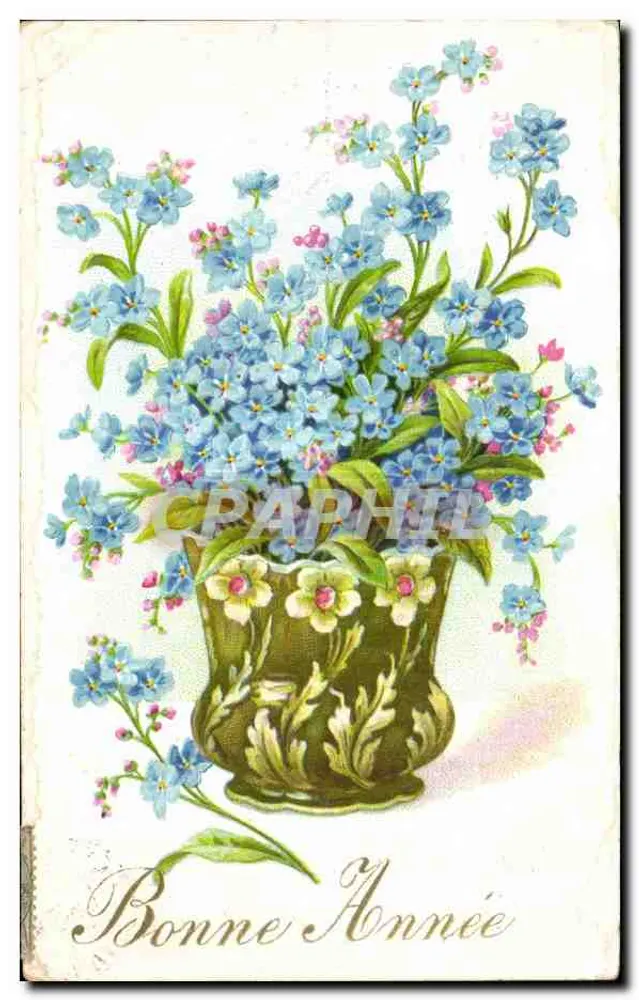 Buquê de myosotis — Boa Ano — editor desconhecido - Frente