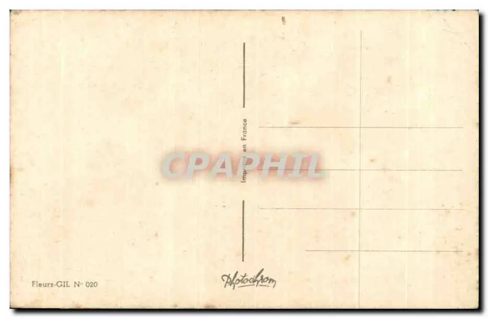 Mata de flores — anêmonas — Flores-GIL N° 020 - Verso