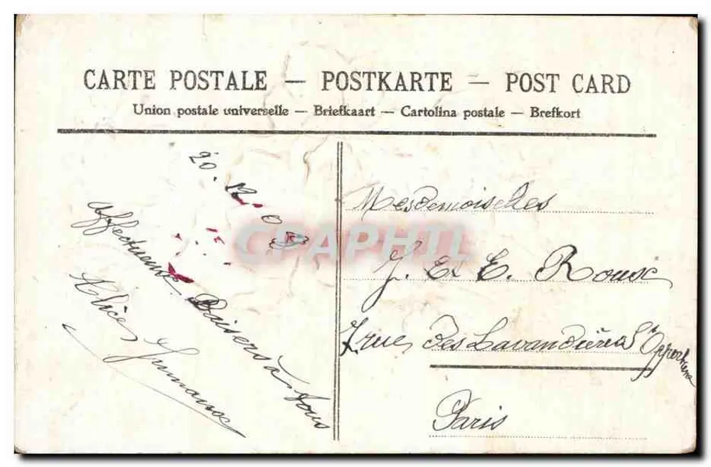 Arranjo de papoulas — Testemunho de amizade — Editor não visível - Verso