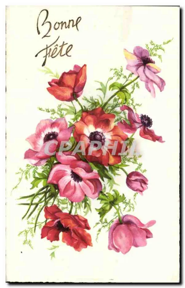Arranjo de flores — Boa Festa — M.D. Paris, série n°3525 - Frente