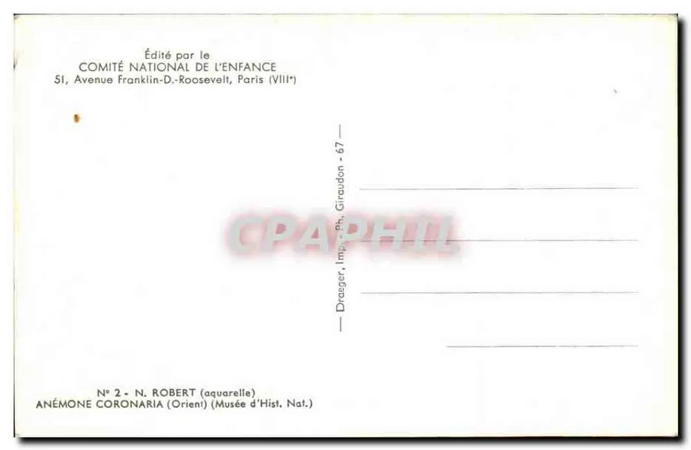 Anêmonas — variedades coloridas — N. Robert (aquarela), editada pelo Comitê Nacional da Criança - Verso