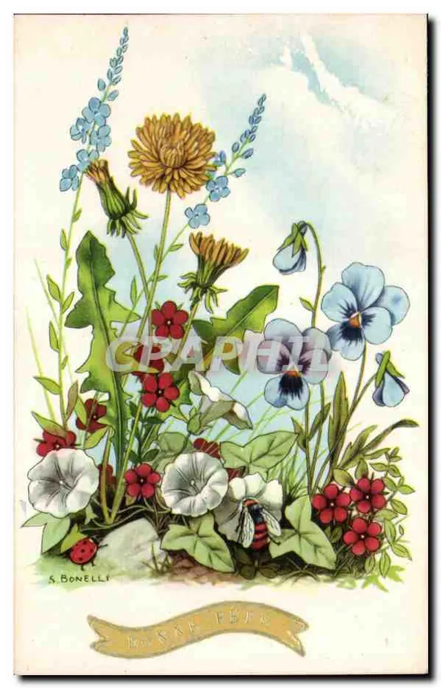 Fleurs sauvages — bouquet de pissenlits, pensées bleues, coquelicots et perce-neige — éditeur S. Bonelli - Frente