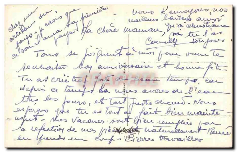 Fleurs sauvages — bouquet de pissenlits, pensées bleues, coquelicots et perce-neige — éditeur S. Bonelli - Verso