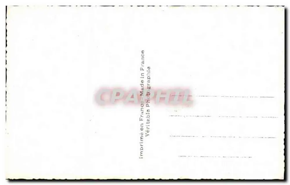Flores violetas — buquê — ARS 7980 - Verso