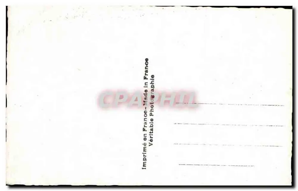 Anémonas roxos — ARS 7927 — ARS - Verso
