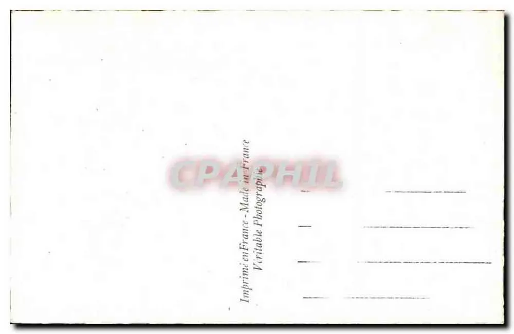 Lilás com manchas pretas — ARS 7926 — ARS - Verso