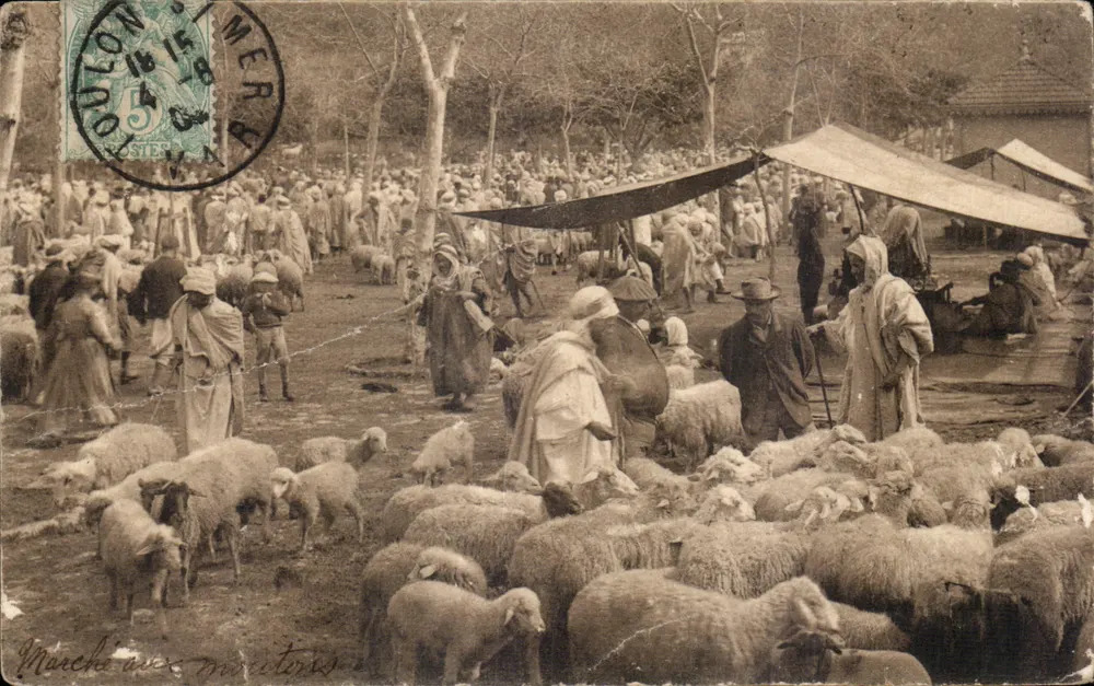 Mercado de carneiros — Argélia — LL - Frente