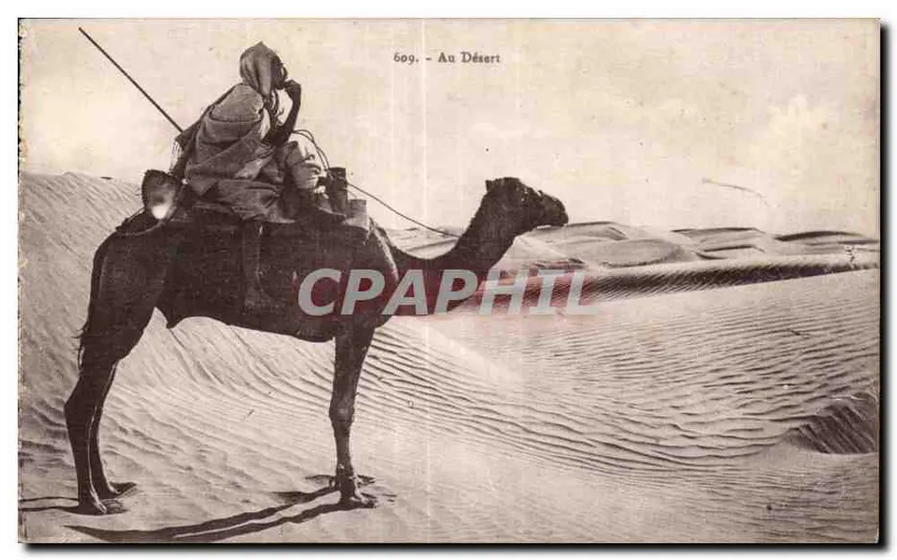 Nel deserto — 609 — Editore EMT - Recto