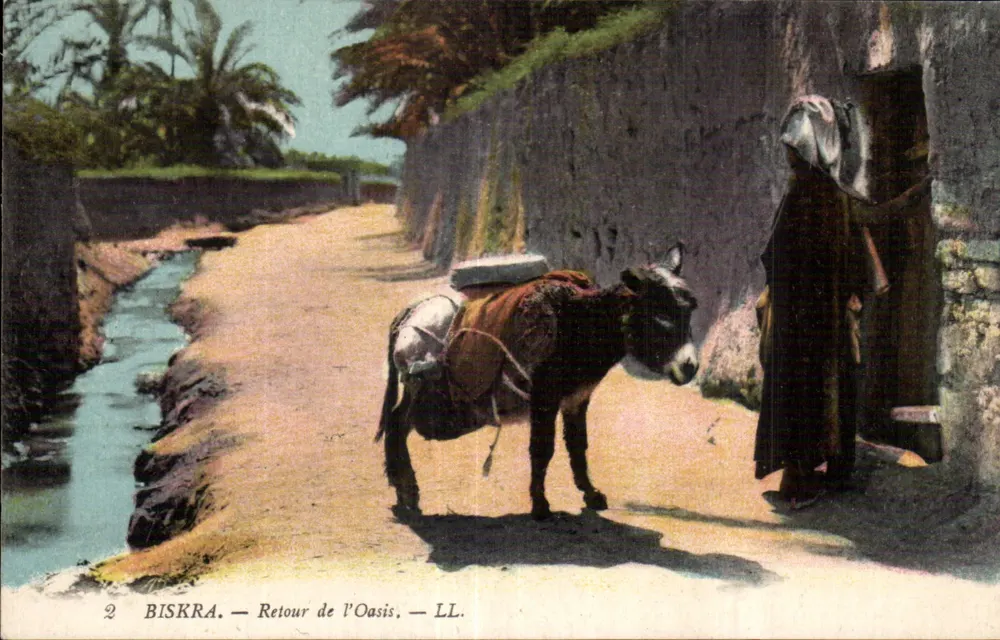 Biskra — Rückkehr aus der Oase — LL. - Vorderseite
