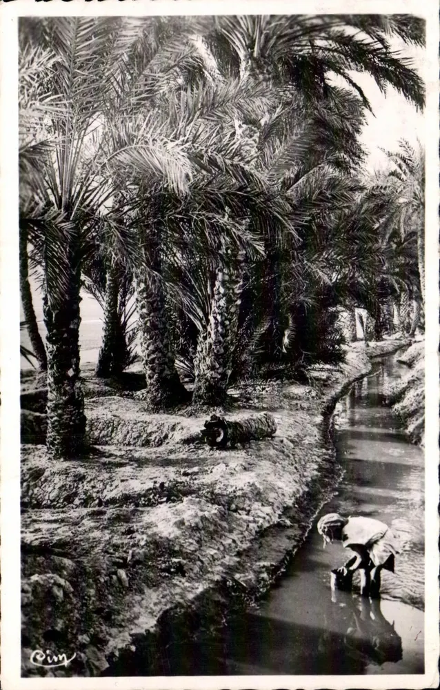 Bou-Saada (Alger) — Na Oasis — Cim - Frente