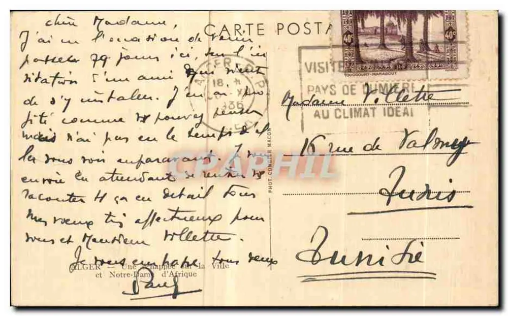 Ansicht der Stadt Nice — Ansicht von den Pinien — Verlag Phot. Collier Macor - Rückseite