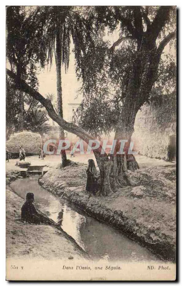 Nell'Oasi, una Séguia — ND. Fot. - Recto