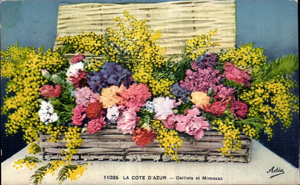 Die Côte d'Azur — Mohnblumen und Mimosen — Adia, n° 11035 - Vorderseite