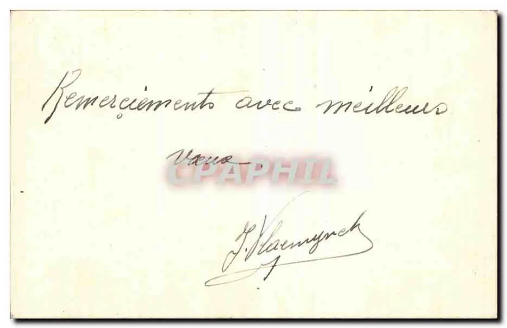 Bukiet niebieskich kwiatów — rysunek ołówkiem — J. Vlaemynck - Rewers