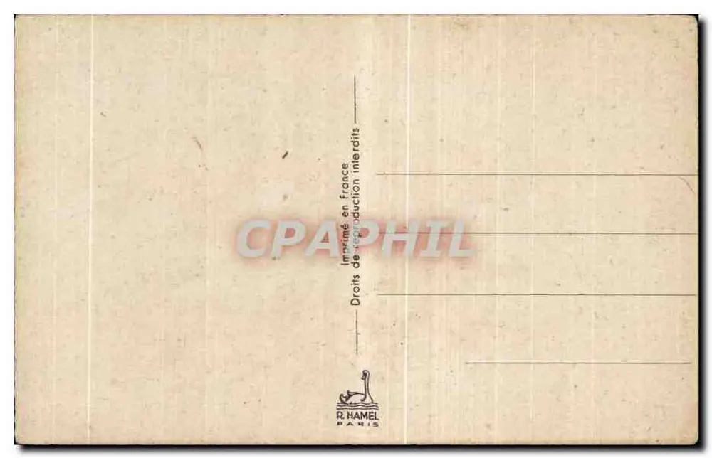 Buquê de narcisos brancos e flores violetas — R. Hamel, Paris - Verso