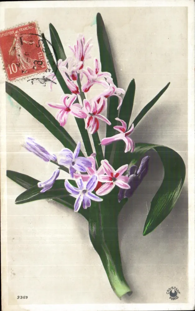 Blomen van de jasmijn — botanische illustratie — Croissant, Parijs, n° 3369 - Voorkant