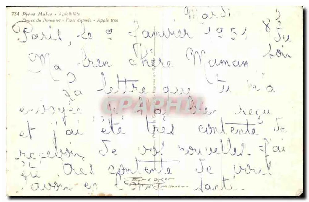 एप्पल के फूल — पाइरस मैलस — प्रकाशक पेरिस, संख्या 734 - पीछे