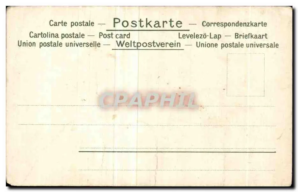 Kwiaty wiosenne — snowdrops, primroses i orzechy — seria 6 - Rewers