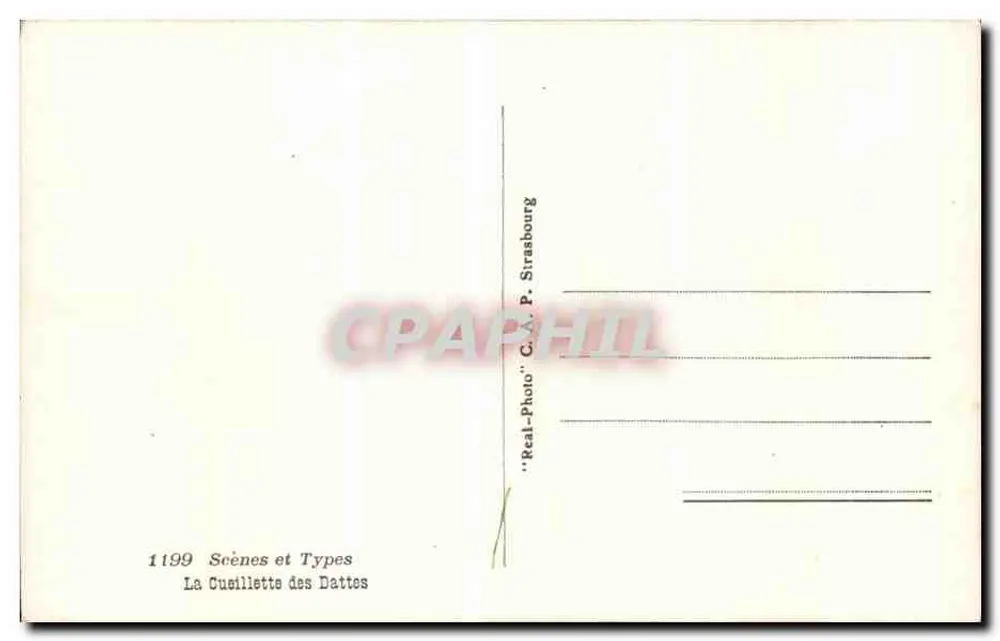 La Cuisillette des Dattes — Cenas e Tipos n°1199 — C.A.P. Strasbourg - Verso