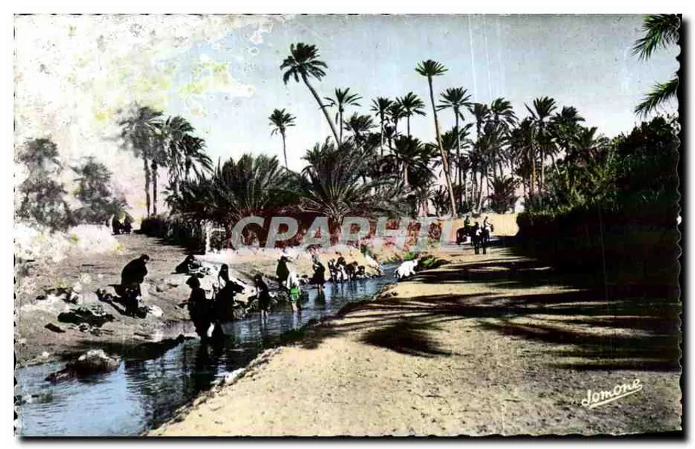 Les laveuses dans l'Oued — Scènes & Types n°188 — Édition JOMONE, Alger - Frente