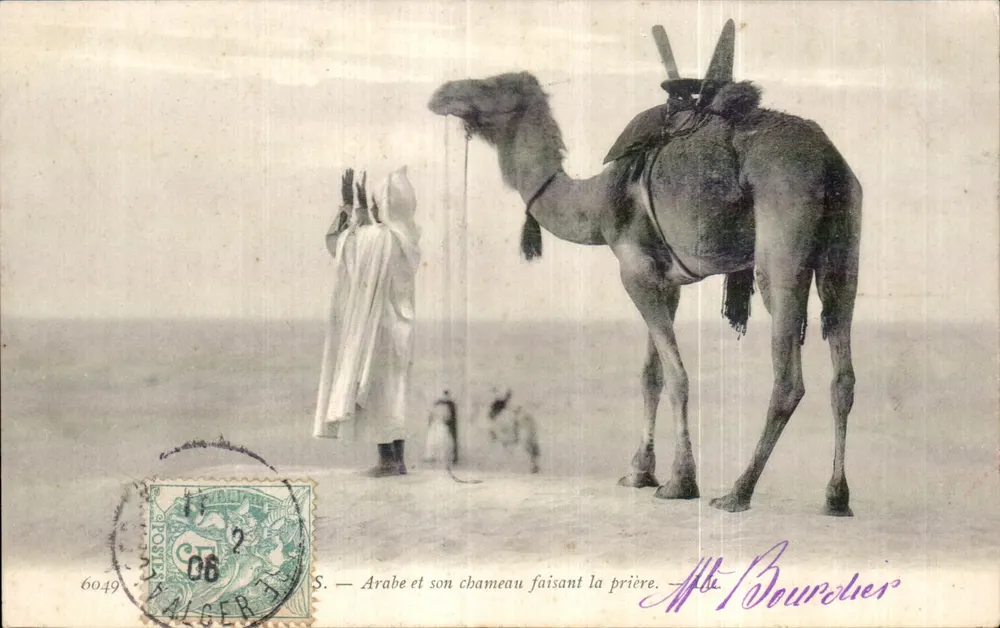 Araber und sein Kamel betend — S. — Verlag M. Bourdier, n° 6049 - Vorderseite